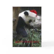 Merry Christmas Panda Happy New Year! cards by graphicdoodles Merry Christmas Panda Happy New Year! cards