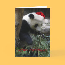 Merry Christmas Panda Happy New Year! cards by graphicdoodles Merry Christmas Panda Happy New Year! cards