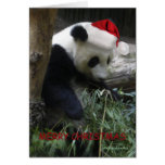 Merry Christmas Panda Happy New Year! Greeting Cards