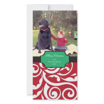Merry Christmas Photo Card