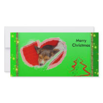 Merry Christmas photo cards by pugsandbeagles Merry Christmas photo cards