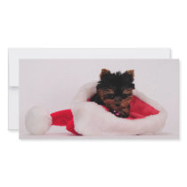 Merry Christmas photo cards