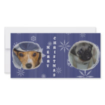Merry Christmas photo cards by pugsandbeagles Merry Christmas photo cards