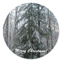 Merry Christmas!-Pine Tree Stickers stickers