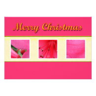 Merry Christmas pink flower greeting card