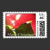 Merry Christmas pionsetta postage by stucker111 Merry Christmas pionsetta postage