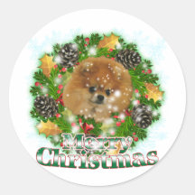 Merry Christmas Pomeraniam Round Stickers