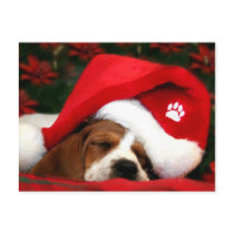 Merry Christmas post card postcards