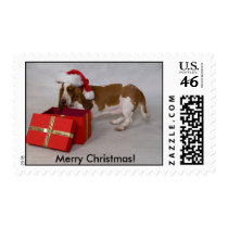 Merry Christmas! postage