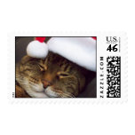 Merry Christmas Postage Stamp