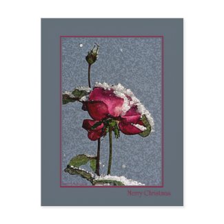 Merry Christmas postcard