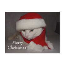 Merry Christmas! postcards by myrtieshuman Merry Christmas! postcards