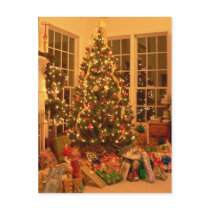Merry Christmas! Postcard