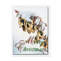 Merry Christmas Postcard