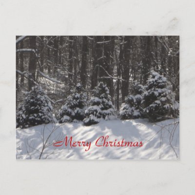 Merry Christmas Postcard