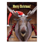 Merry Christmas Postcard