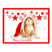 Merry Christmas Postcard