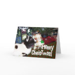 Merry Christmas Presents with Goat Rufus cards