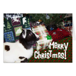 Merry Christmas Presents with Goat Rufus Greeting Card