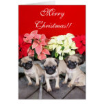 Merry Christmas pug puppies greeting card