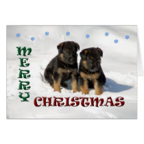 Merry Christmas Puppies Greeting Card