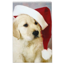 Merry Christmas Puppy Calendar