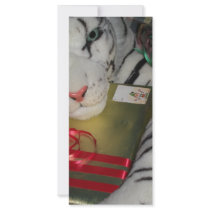 Merry Christmas rack cards by catsirish Merry Christmas rack cards