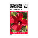 Merry Christmas Red Flower from Hawaii postage