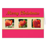 Merry Christmas  red flowers greeting card.