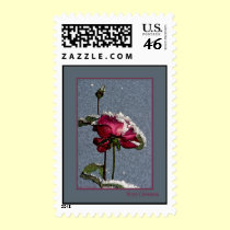 Merry Christmas - red rose with snow postage