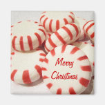 Merry Christmas Refrigerator Magnet