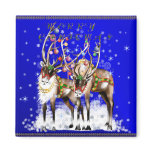 Merry Christmas Reindeer Magnet