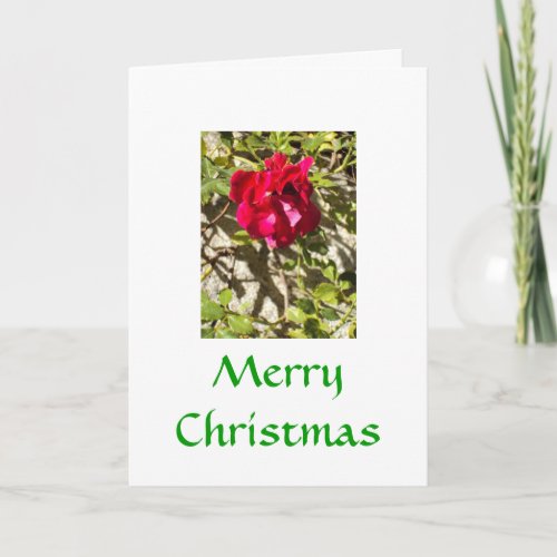 Merry Christmas Rose Card card