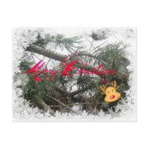 Merry Christmas Rudolph Postcard