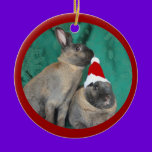 Merry Christmas Santa Bunnies Happy New Year too ornaments