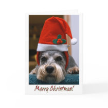 Merry Christmas Schnauzer cards