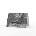 Merry Christmas,  scripture greeting cards