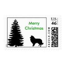 Merry Christmas Sheltie Postage Stamp