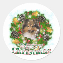 Merry Christmas Sheltie Round Sticker