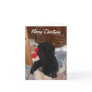 Merry Christmas - Shenandoah Bright Cards