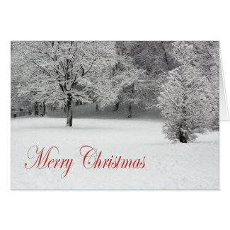 Merry Christmas Snow and trees Greeting Card