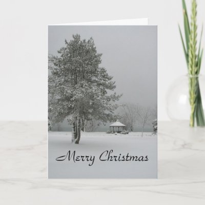 christmas quotes for greeting cards. Merry Christmas Snowscene with Quote Greeting Card by quotationcorner