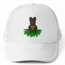 Merry Christmas Teddy hats