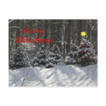 Merry Christmas Tree Postcard