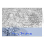 Merry Christmas Trees - Card