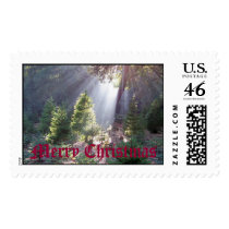 Merry Christmas Trees postage