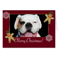 Merry Christmas  White Boxer Dog Cards