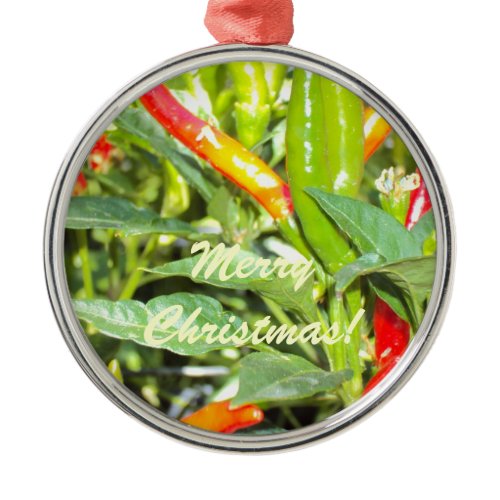 Merry Chritmas Chilli Pepper Ornament ornament