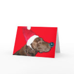Merry Dogmas!