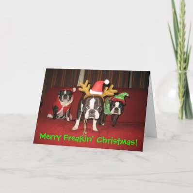 Merry Freakin&#39; Christmas! Greeting Cards